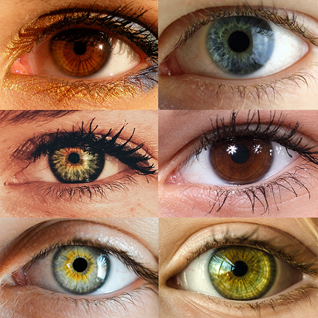 trivia-on-different-colored-eyes