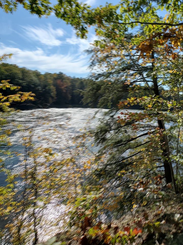 Blurry trees and water demonstrating chromatic aberration